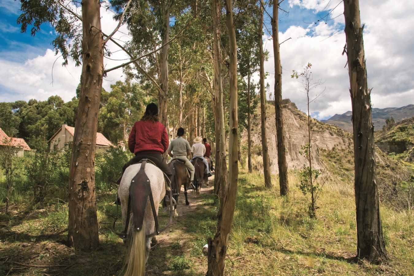 Horseriding - Belmond Las Casitas