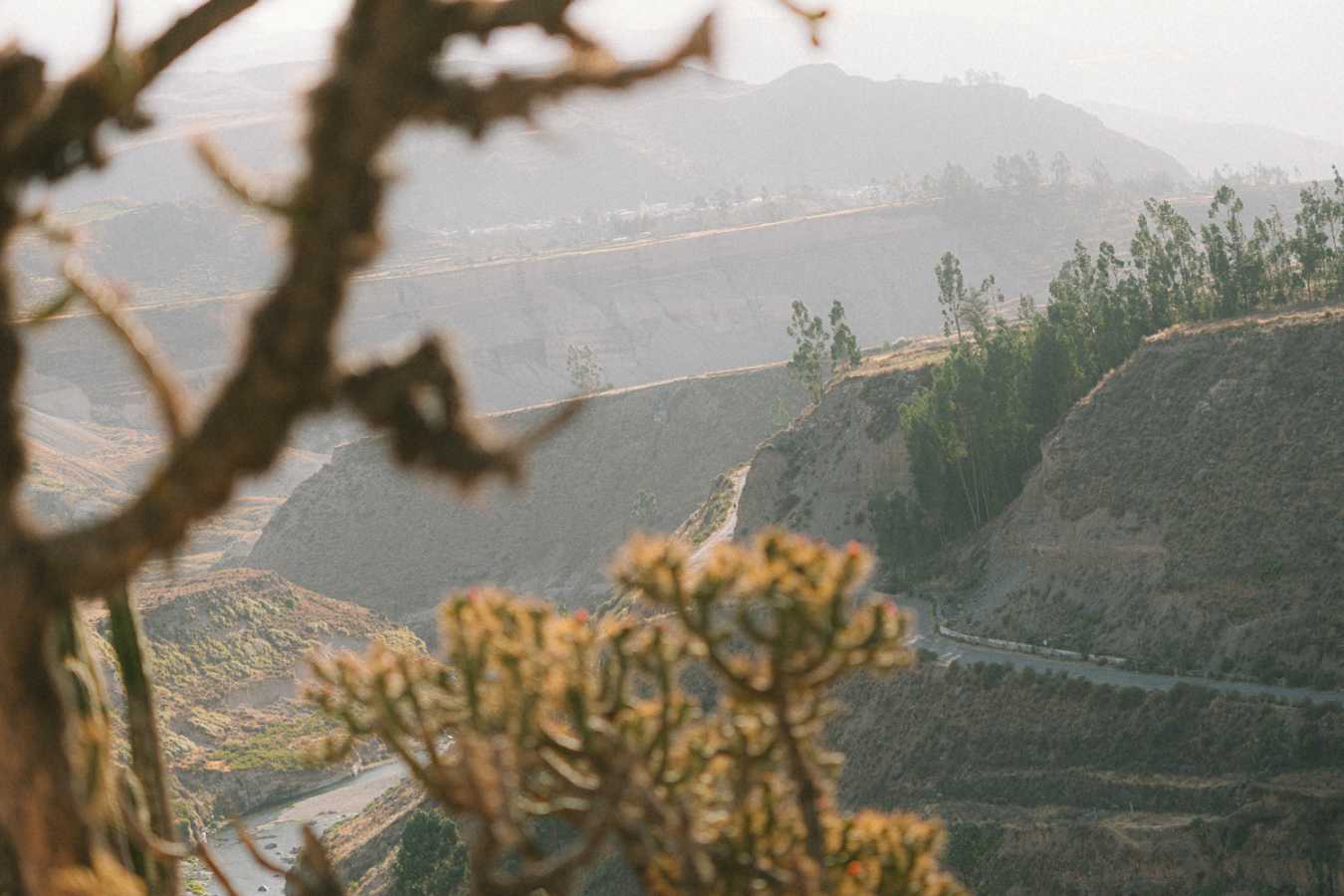 Nature views