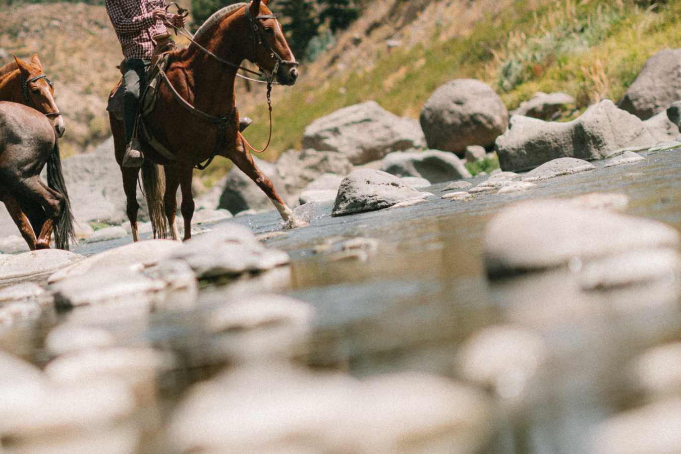 Horse riding