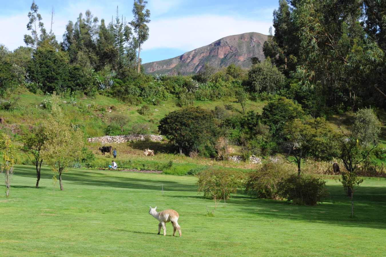 Grounds - Belmond Hotel Rio Sagrado