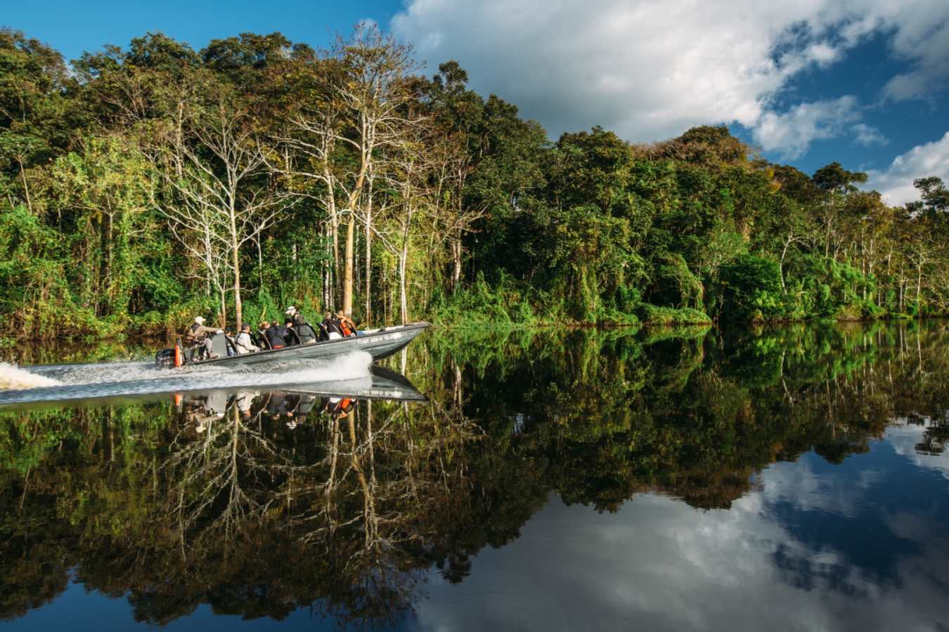  Amazon - Luxury Peru 