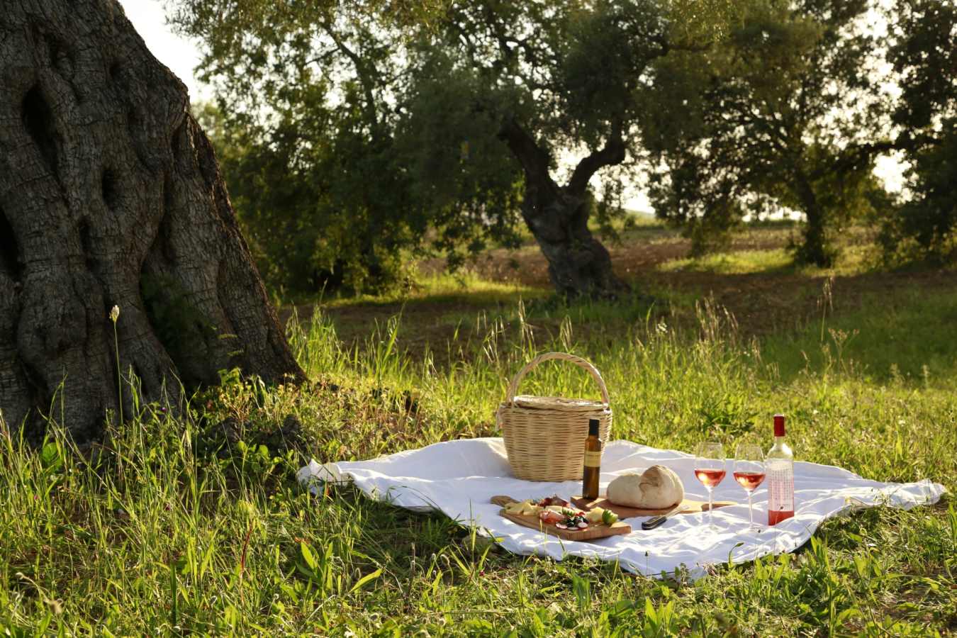 Picnic