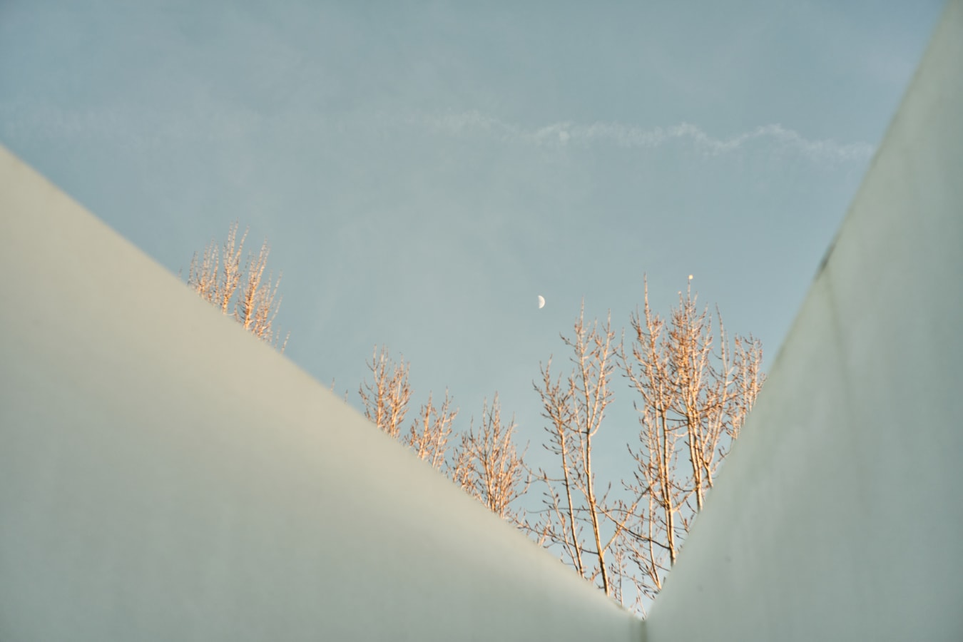 Fuji 157