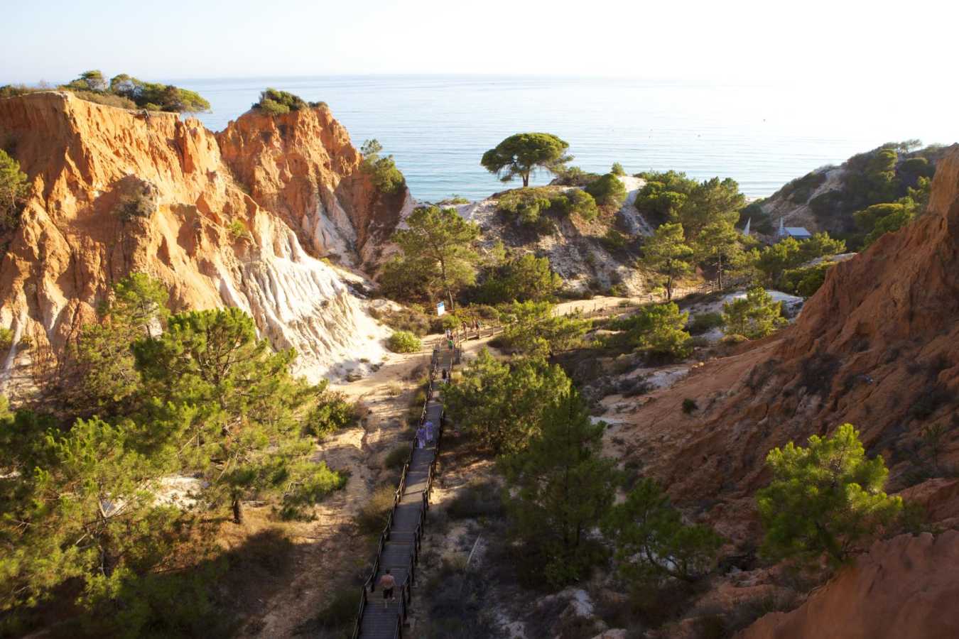 Beach access - Pine Cliffs