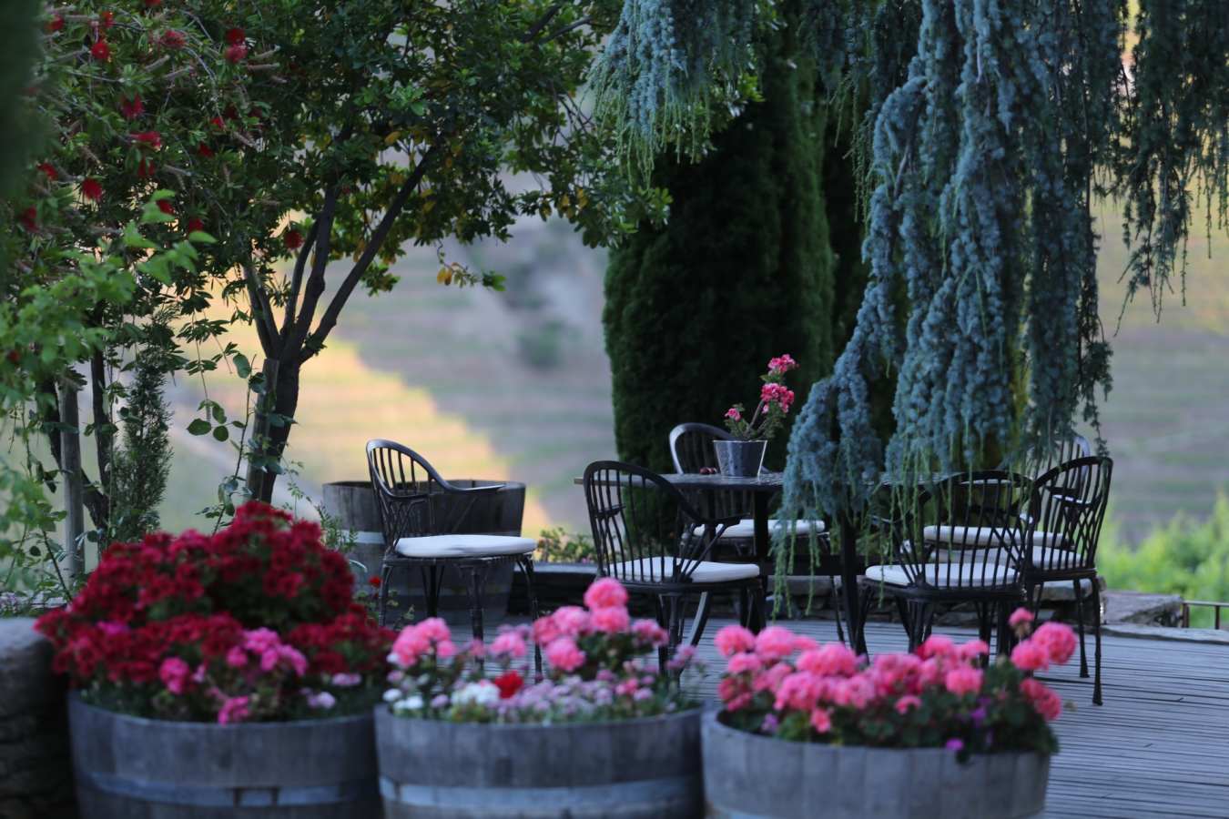 Terrace - Quinta Nova