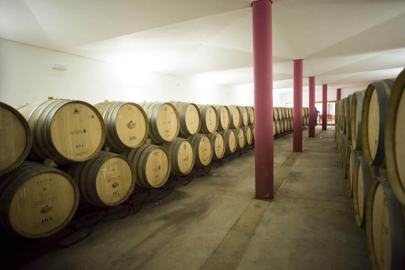 Winery - Quinta Nova