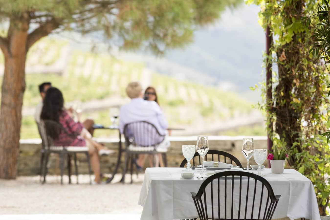 Dining - Quinta Nova