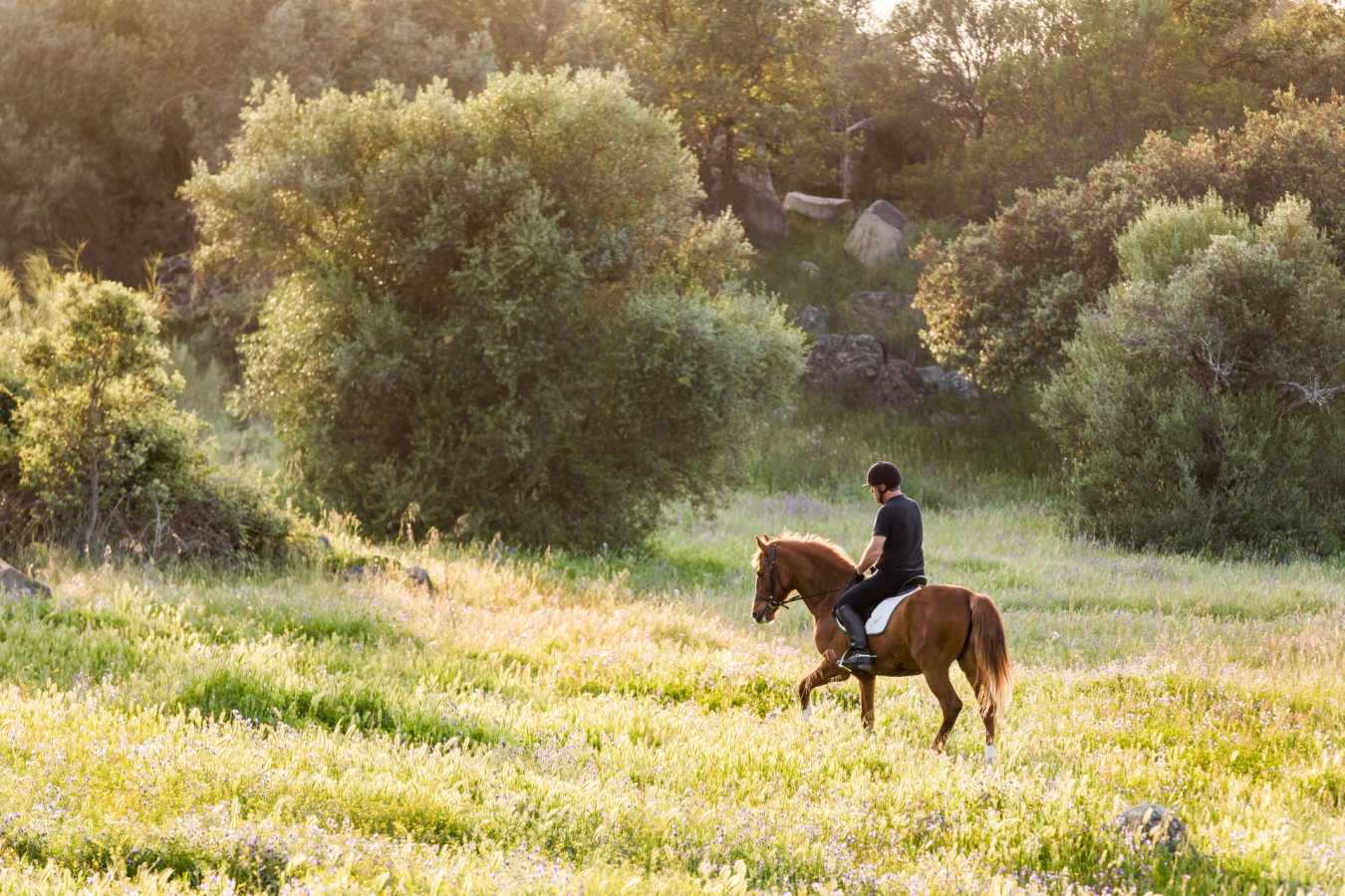 Horse riding
