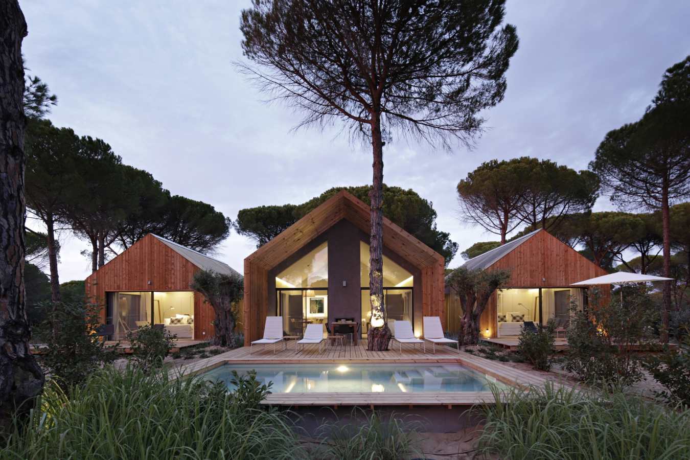 Villa garden