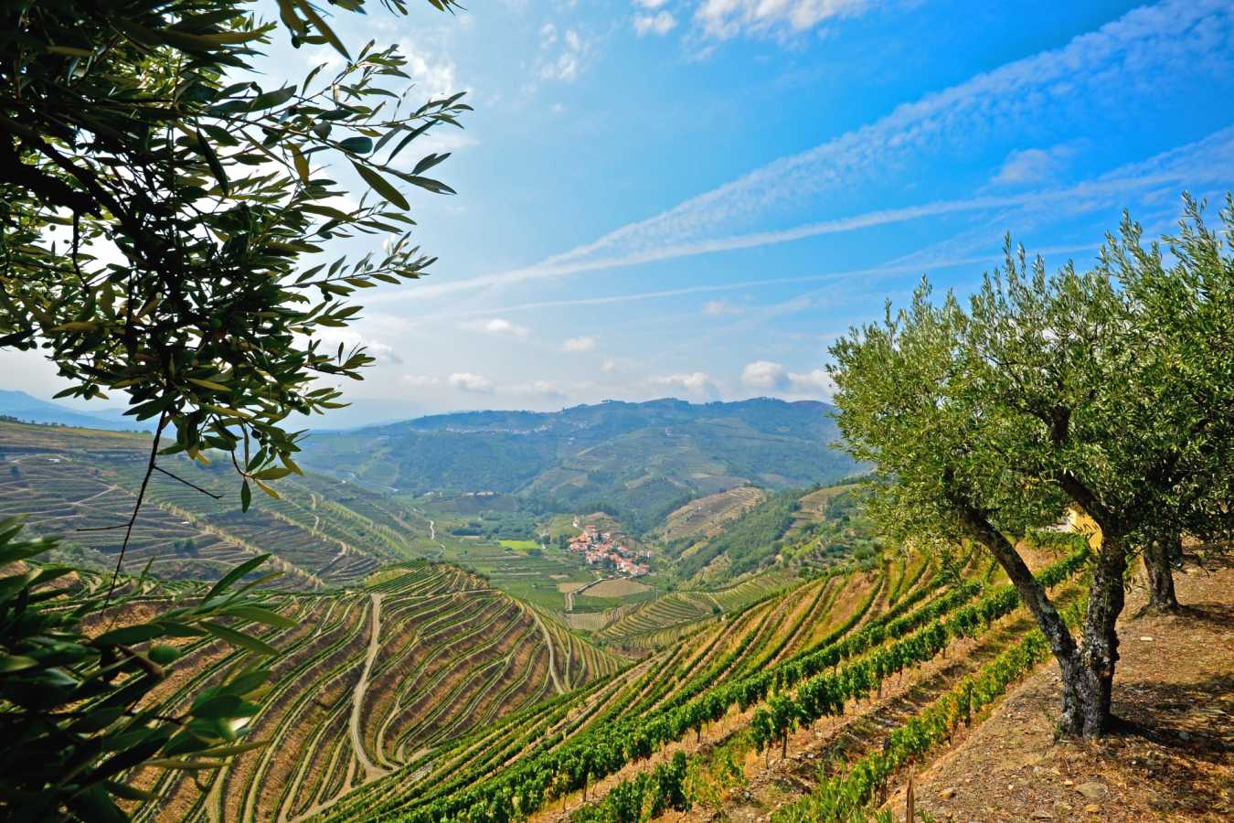 Douro Valley - Ultimate Portugal