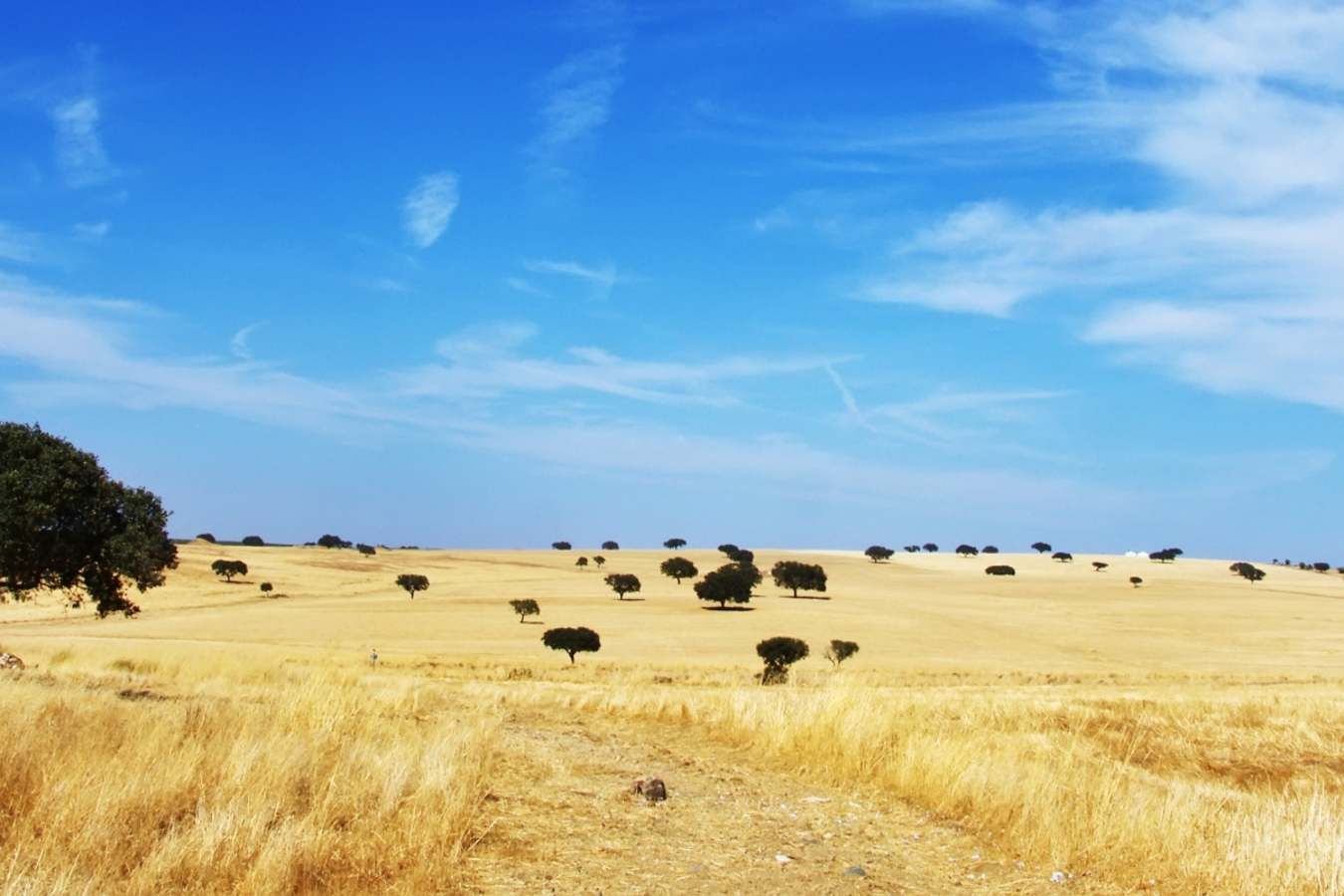 Alentejo - A family adventure in Portugal