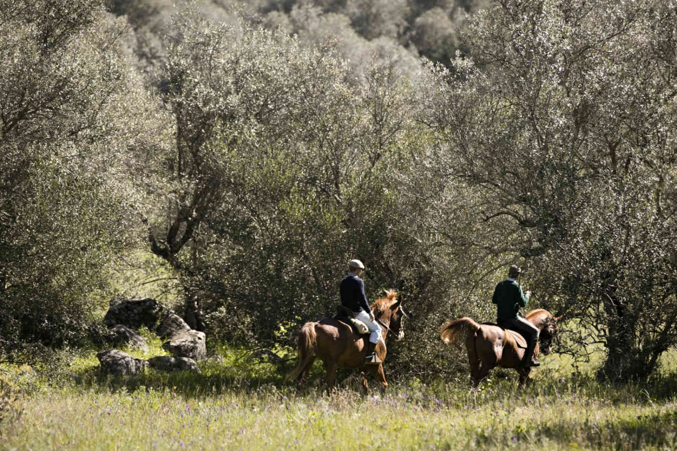 Horse riding - A family adventure in Portugal