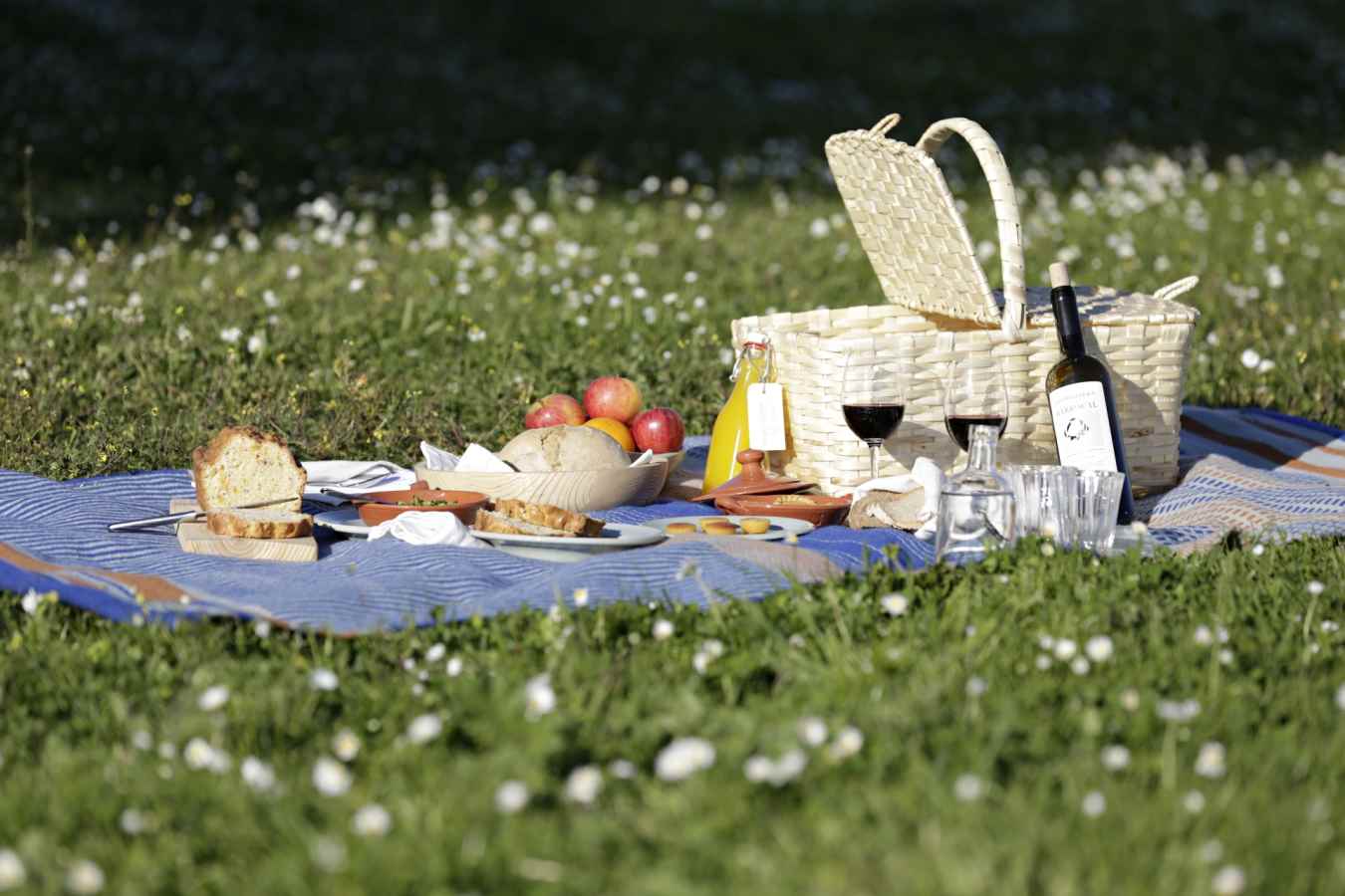 Picnic - A family adventure in Portugal