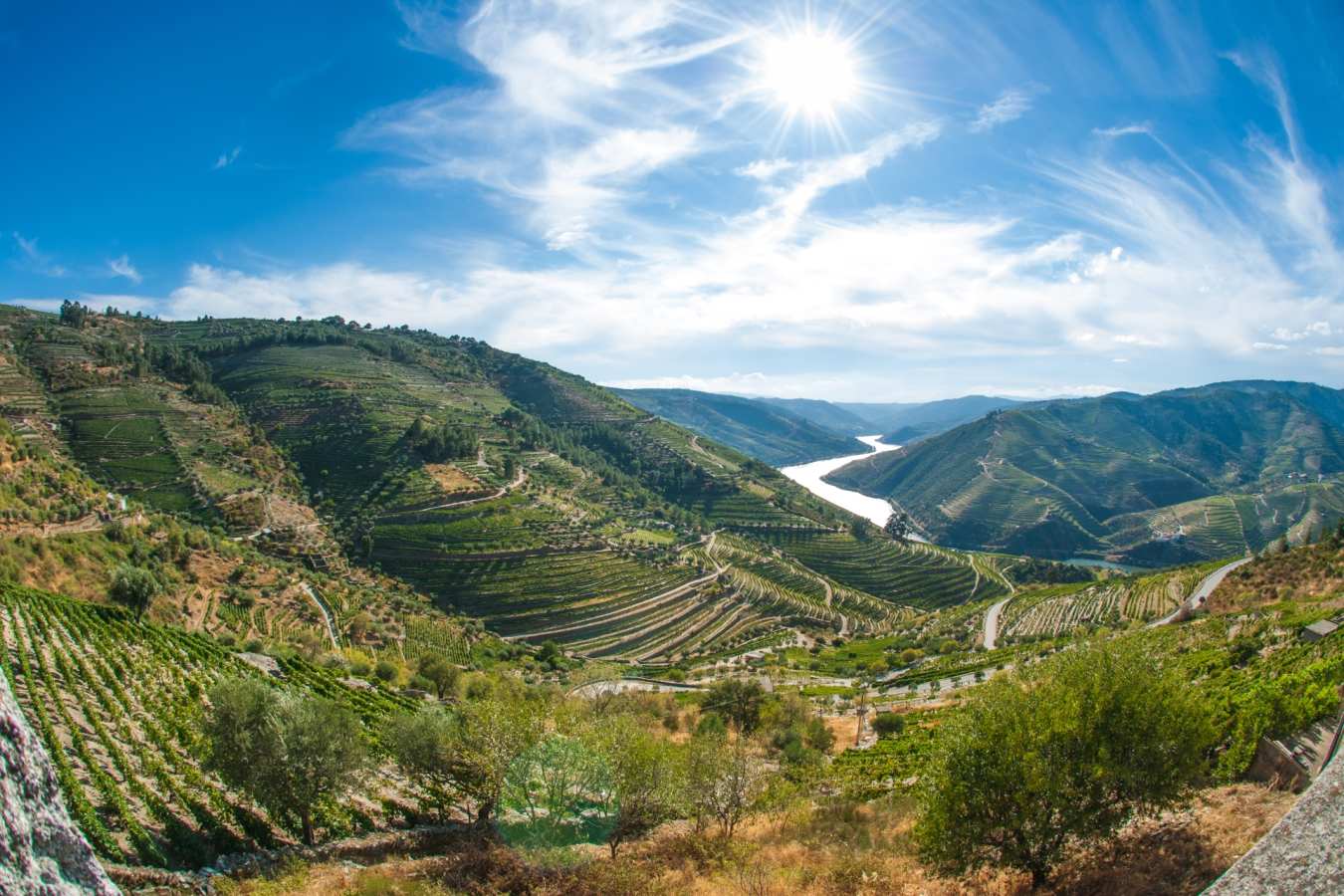 Douro Valley - Wine Country of Portugal: Porto and the Douro Valley