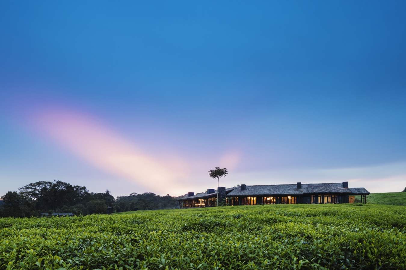 Exterior at sunset - Nyungwe House