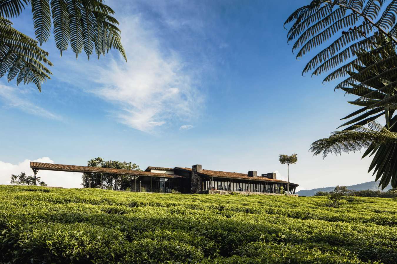 Nyungwe Forest Exterior  