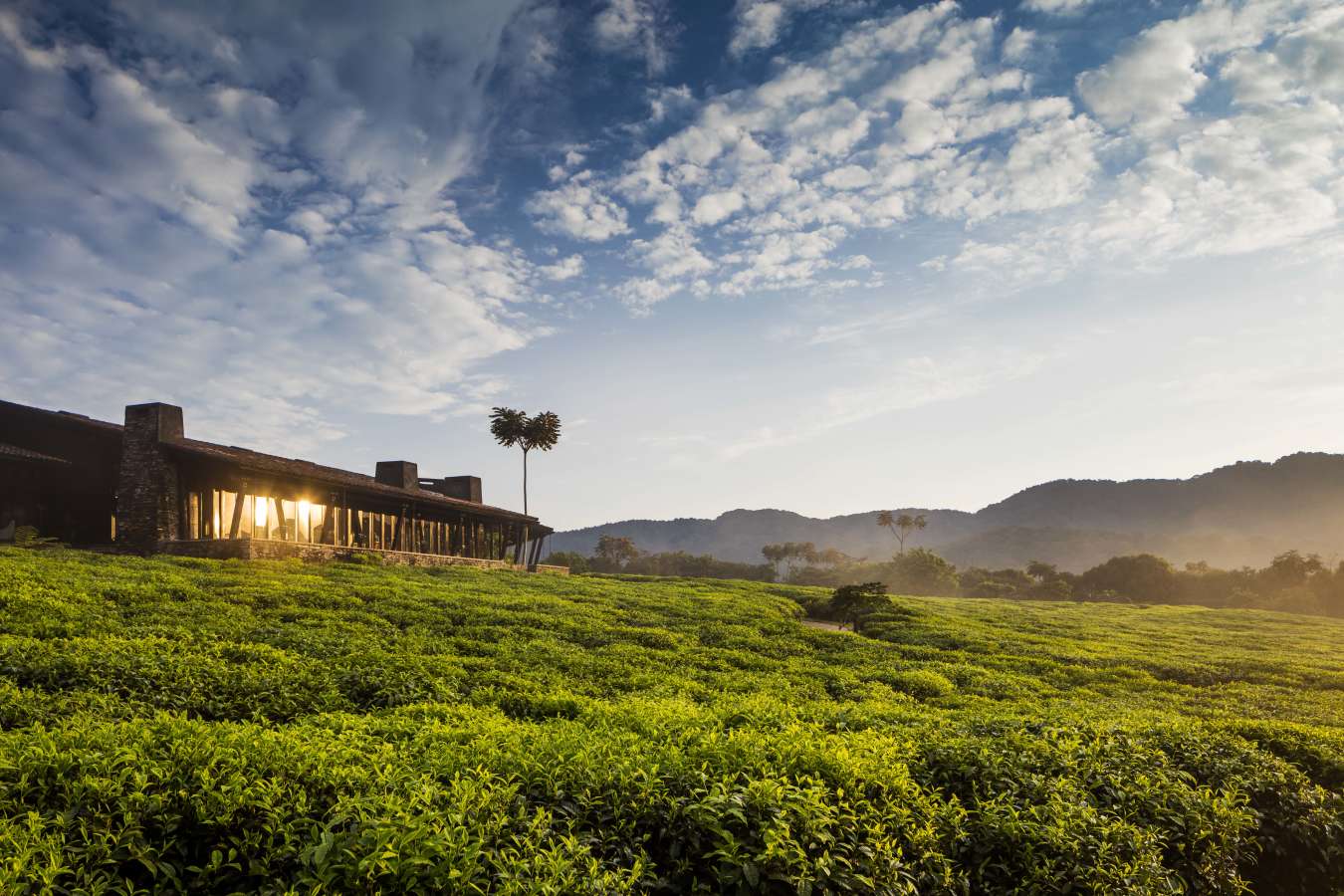 OneOnly Nyungwe House Exterior