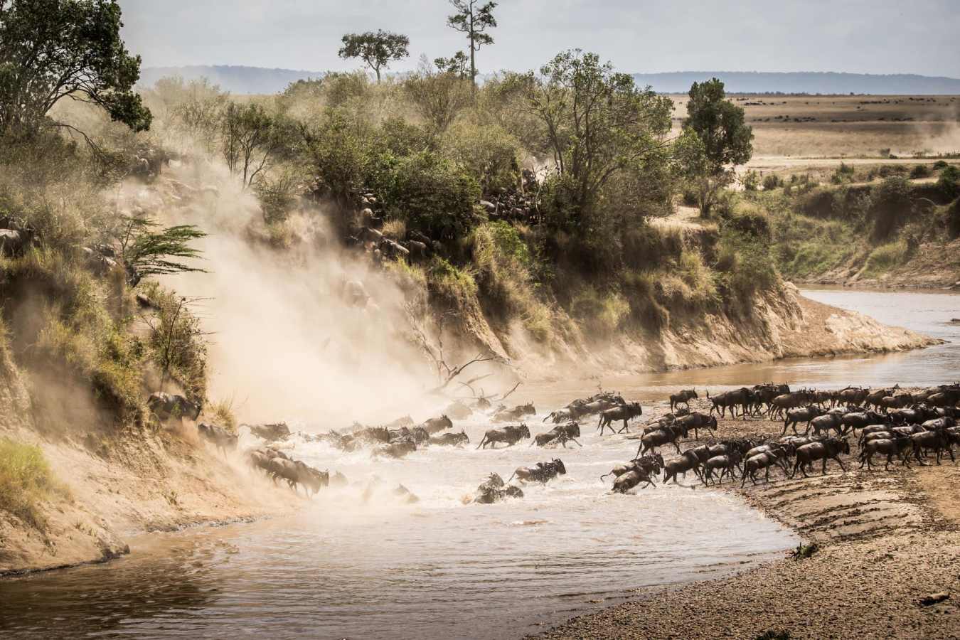 Great Migration  - Primates, Predators and Paradise