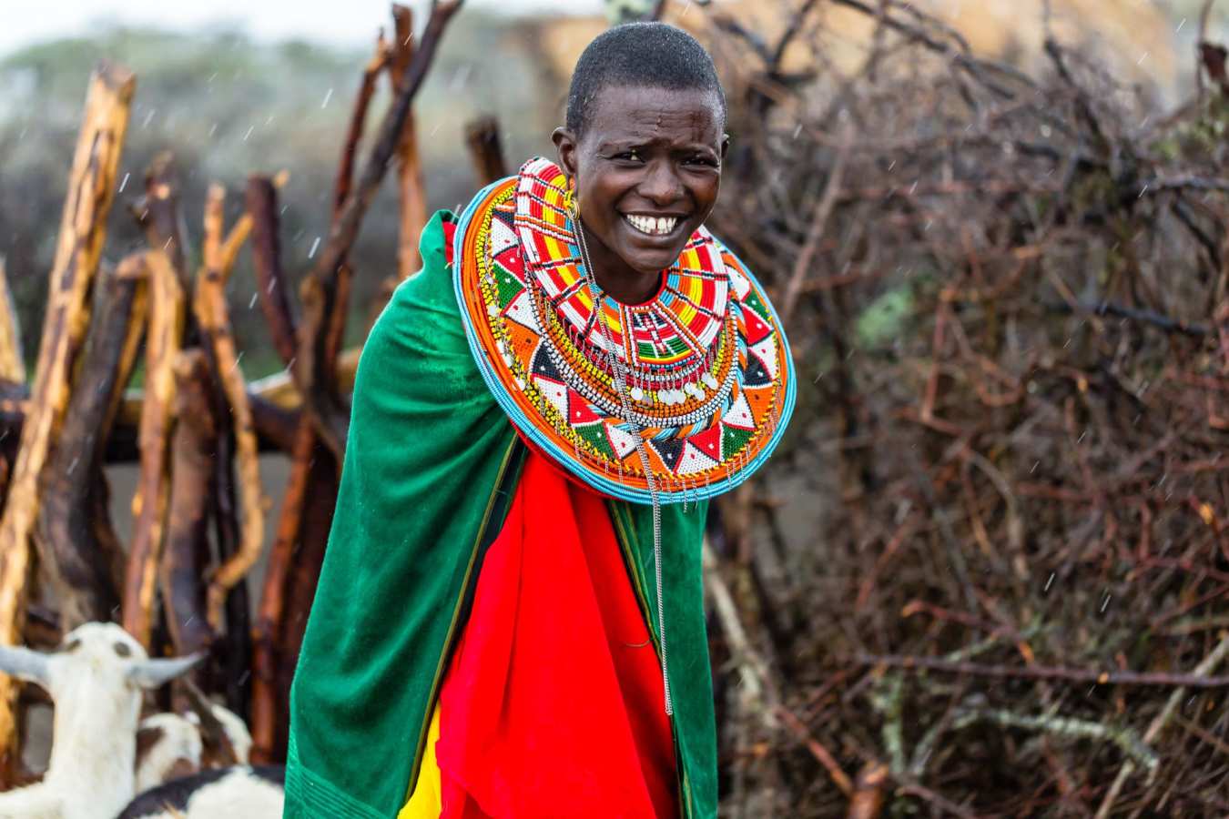Maasai  - Primates, Predators and Paradise