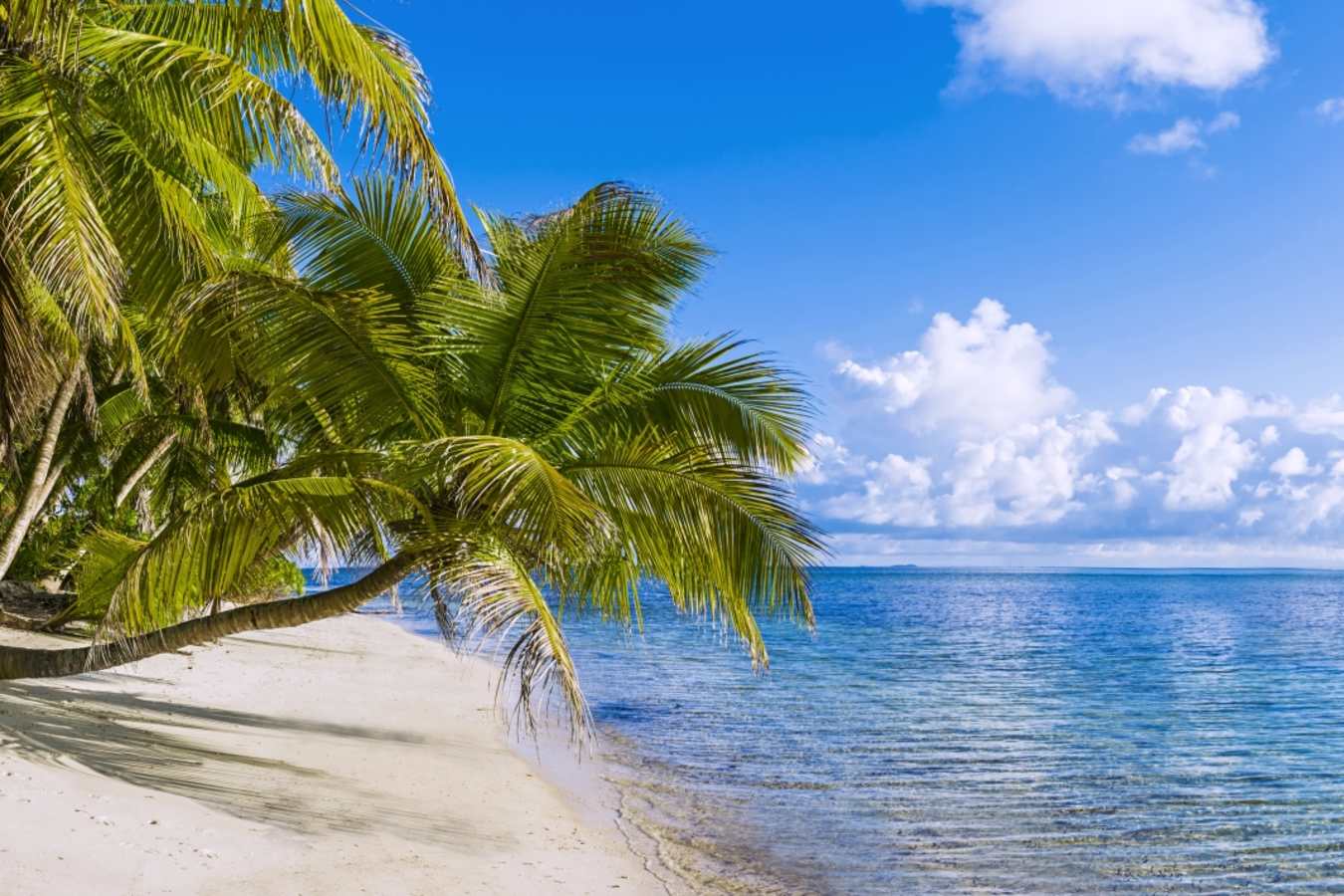 Beach - Alphonse Island