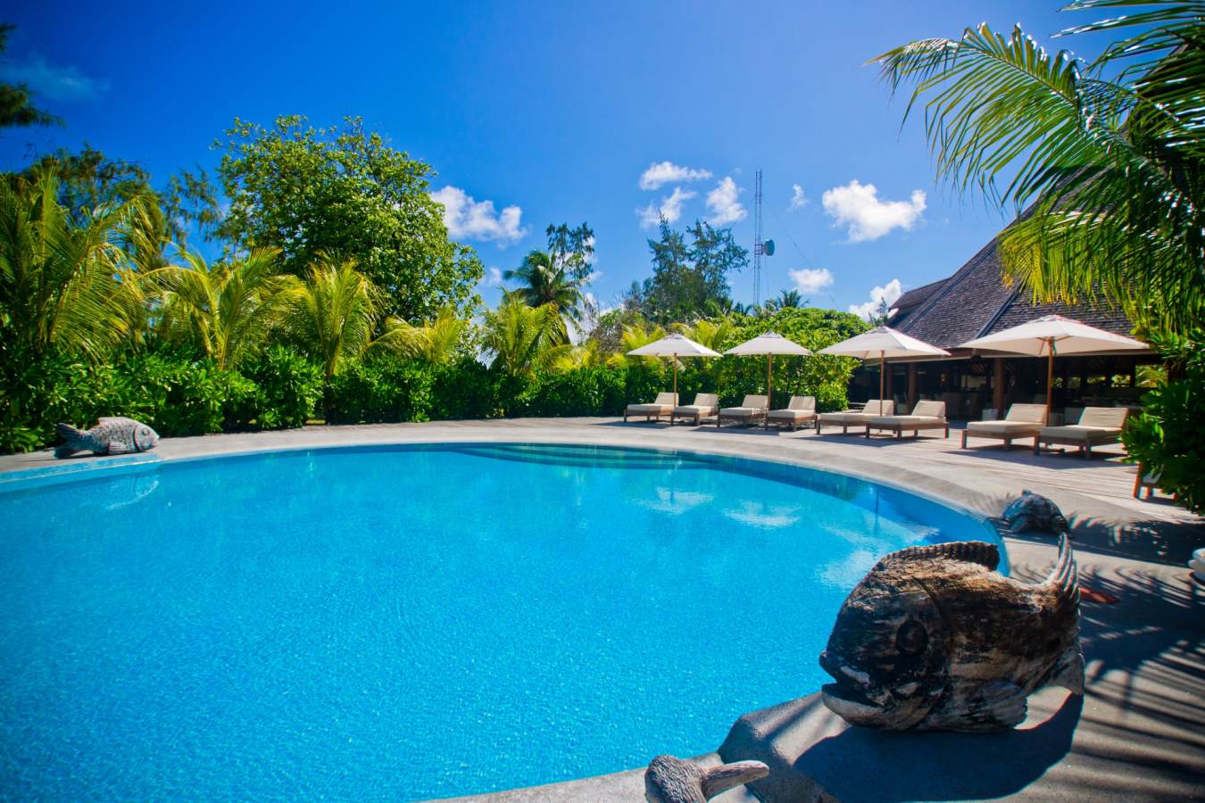 Pool - Denis Private Island
