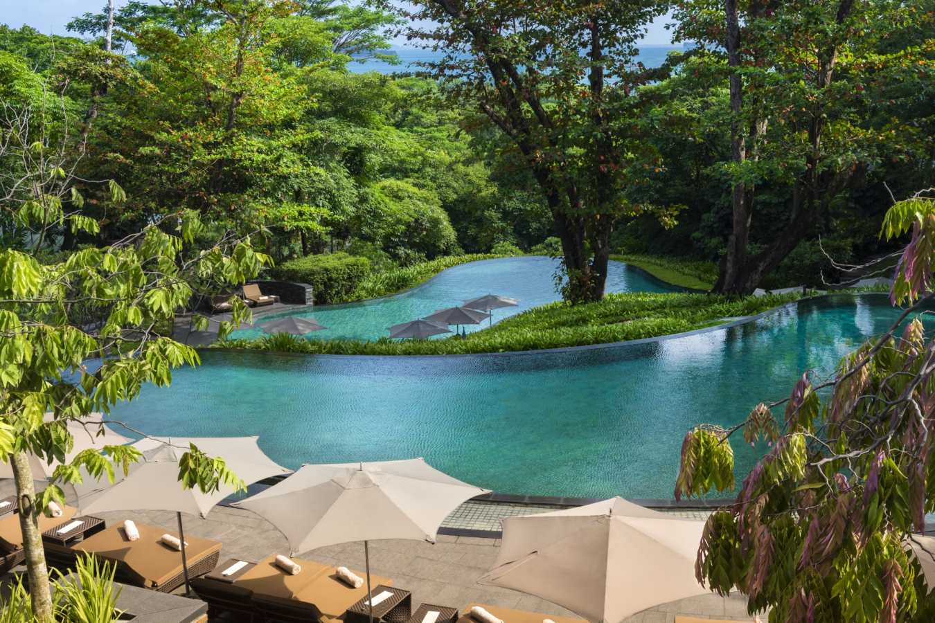 Pool - Capella Singapore