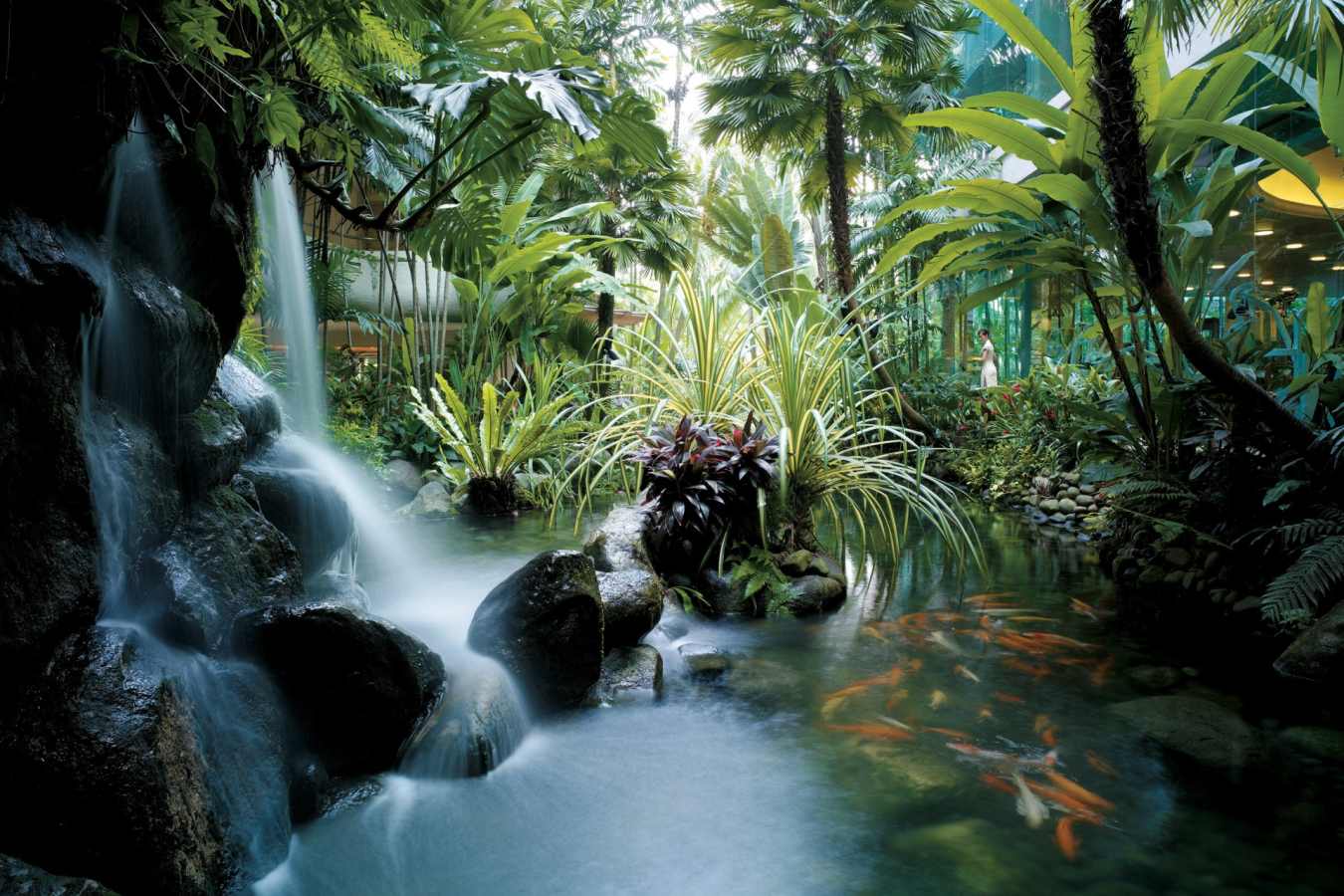 Waterfall Koi Pond - Shangri-La Singapore