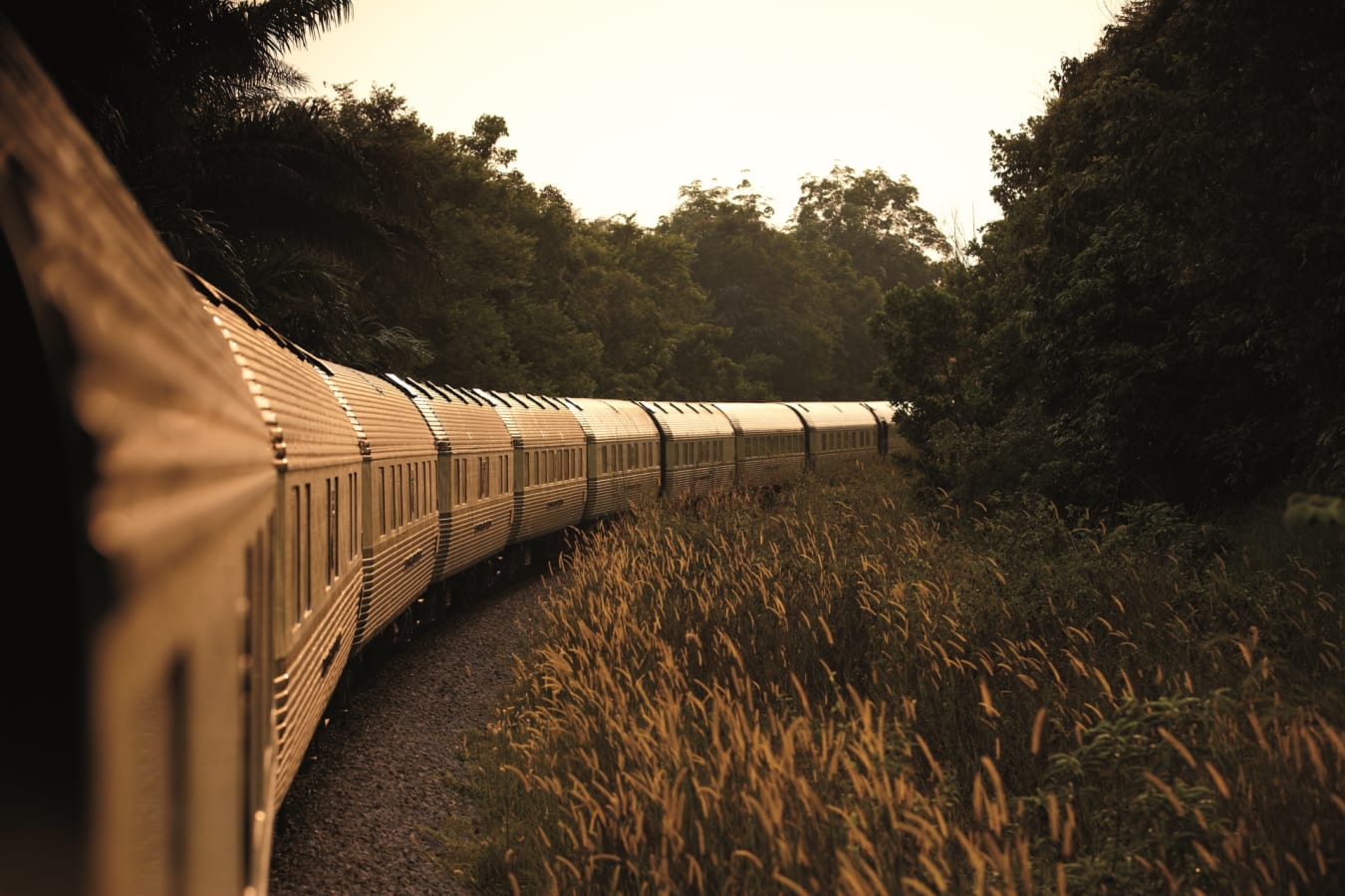 Trian view