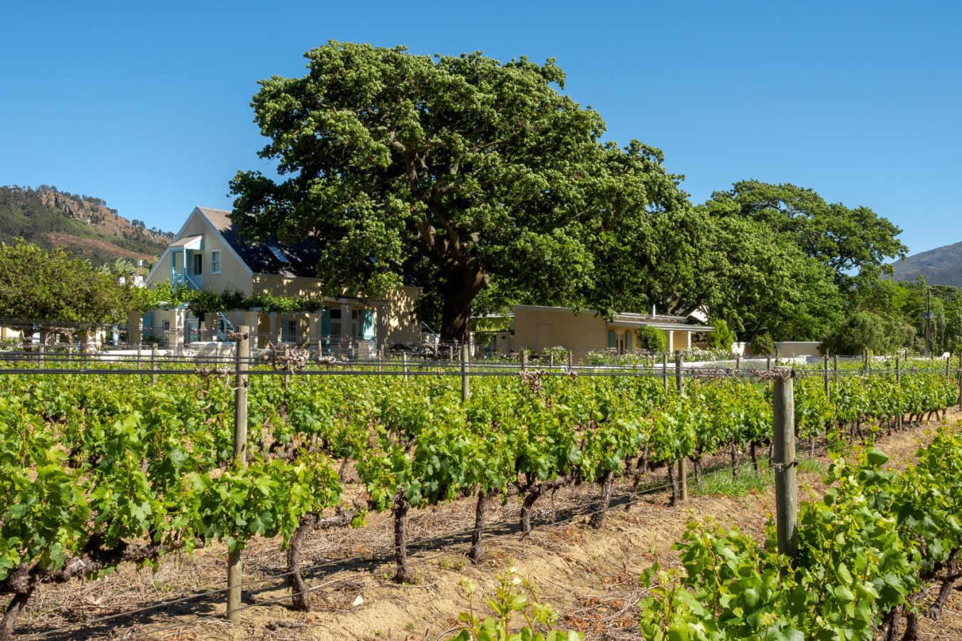 View from the vineyard - Auberge Clermont
