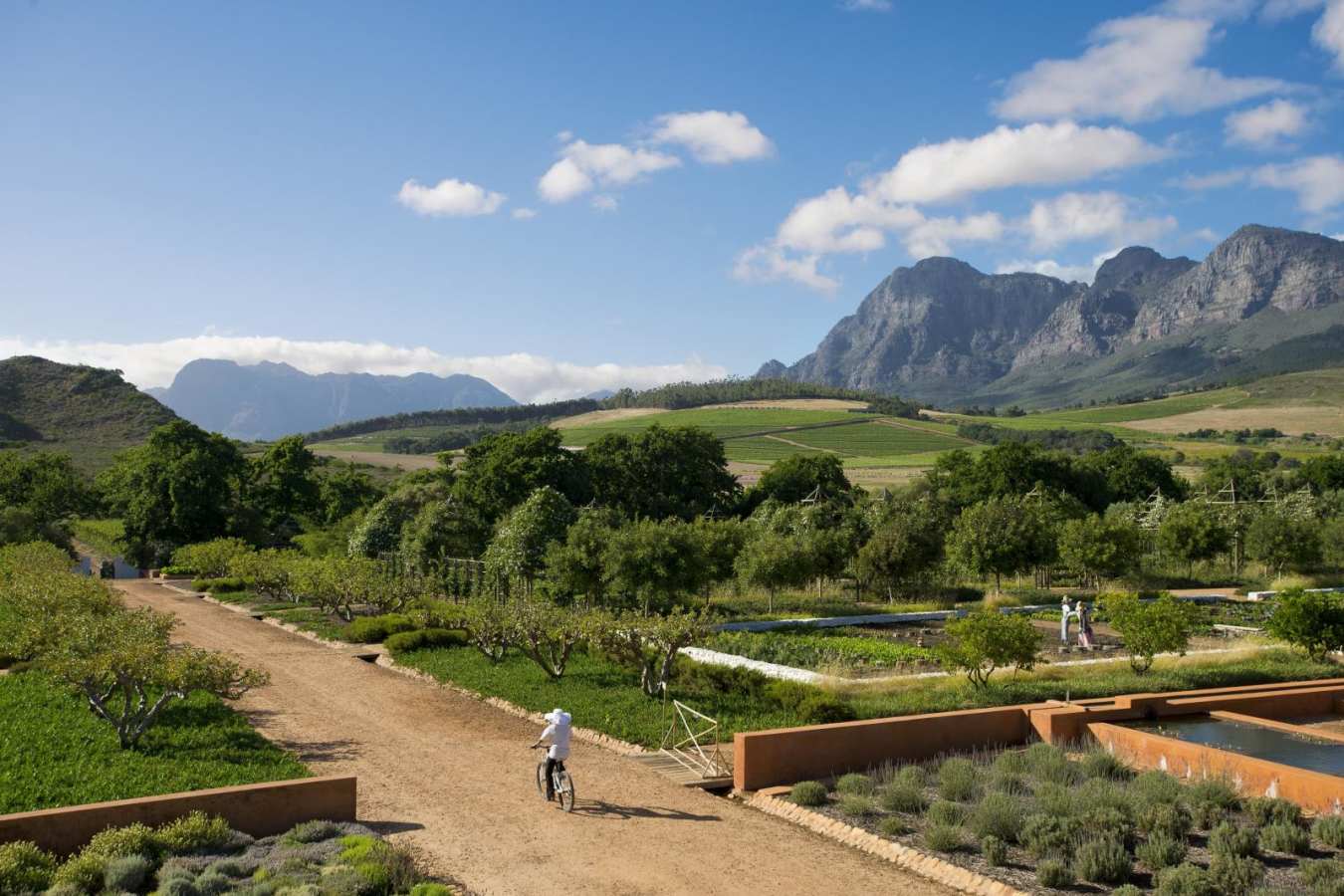 Gardens - Babylonstoren