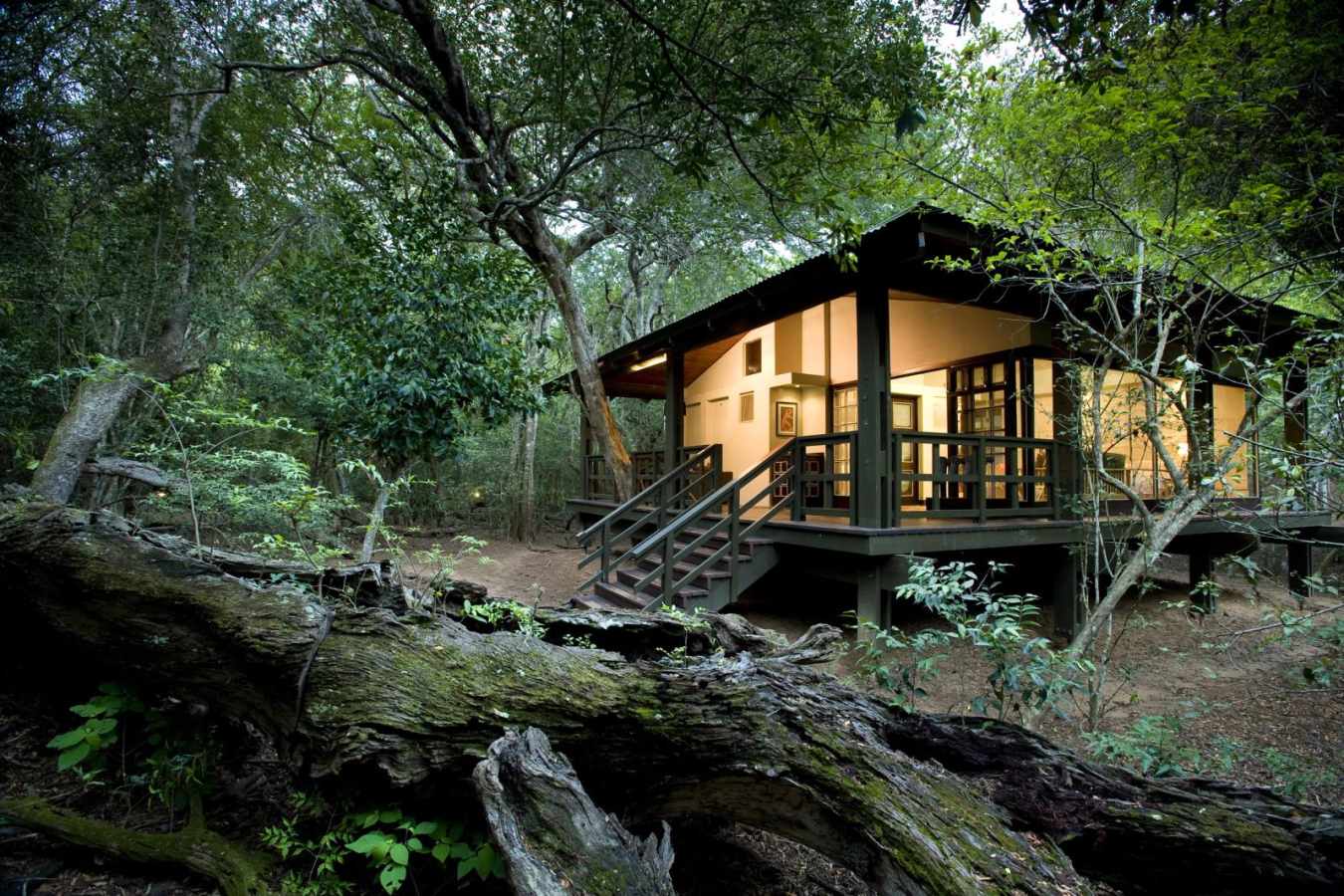 Suite - Phinda Forest Lodge