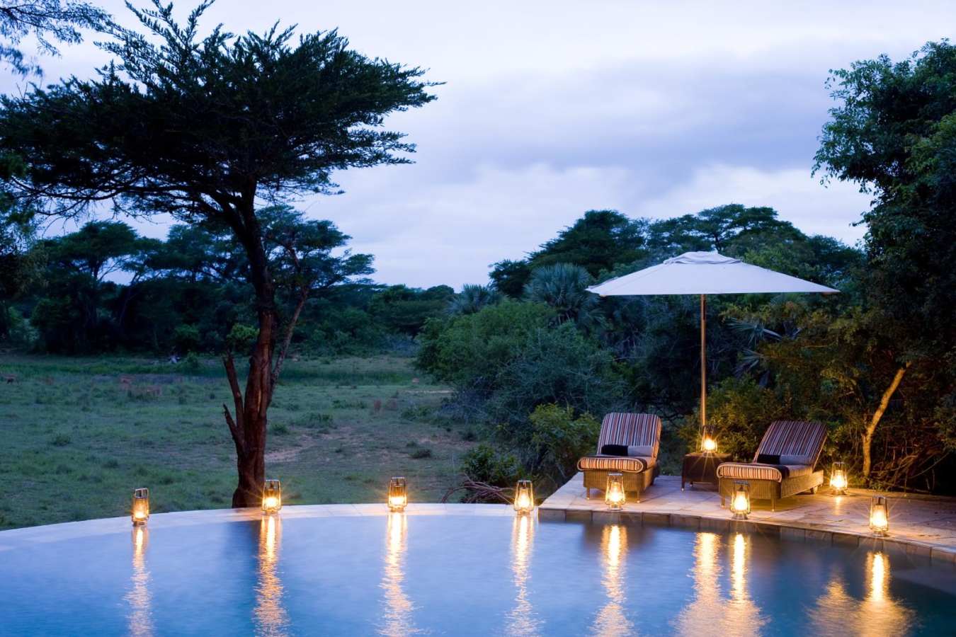 Pool - Phinda Forest Lodge