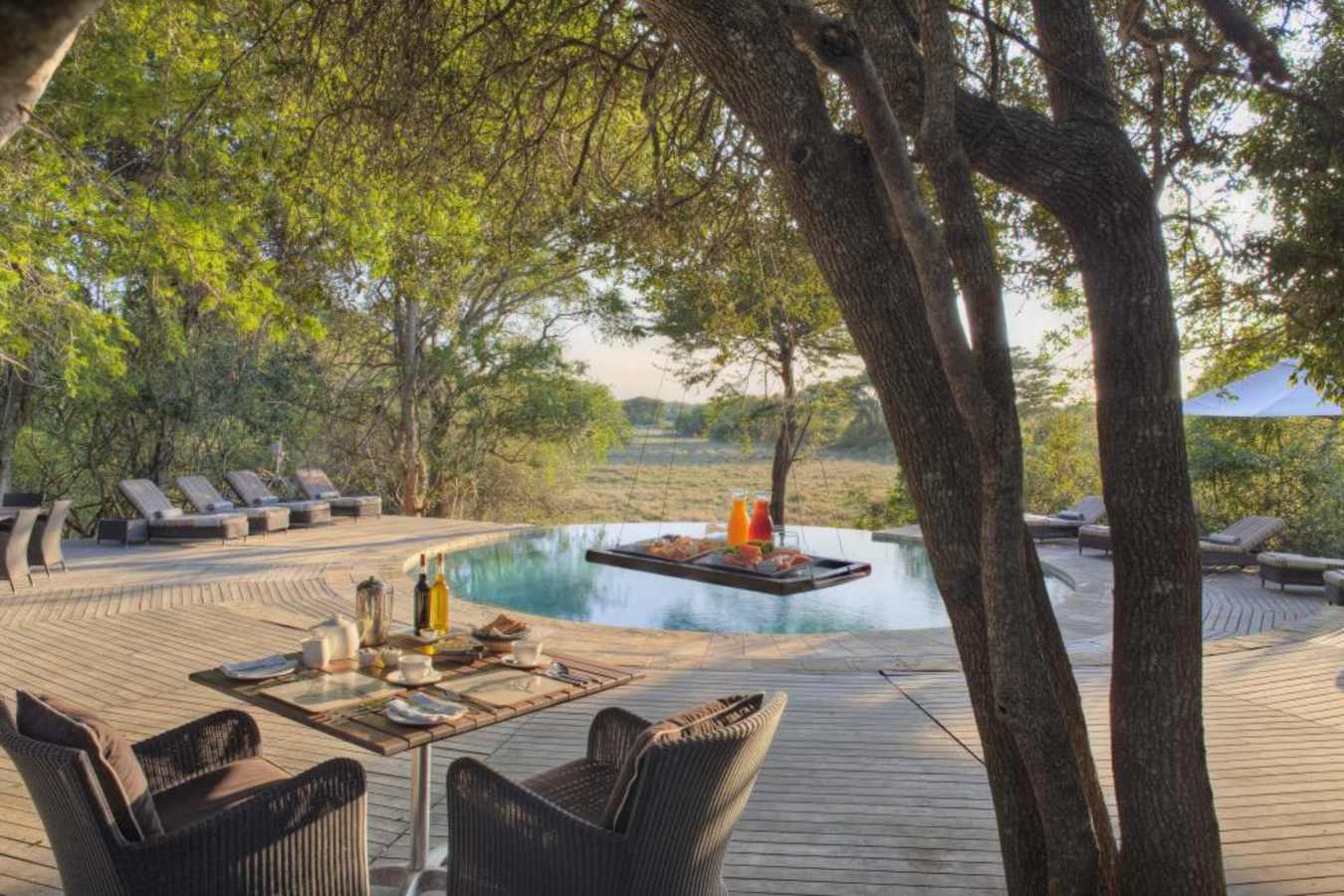 Pool - Phinda Forest Lodge