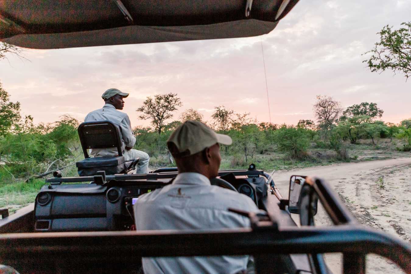 Electric game viewing
