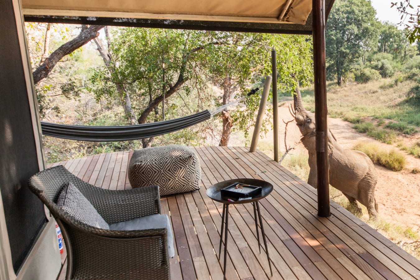 Deck with elephant