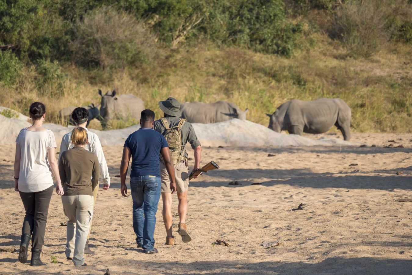 Safari Walks at Jock Safari Lodge