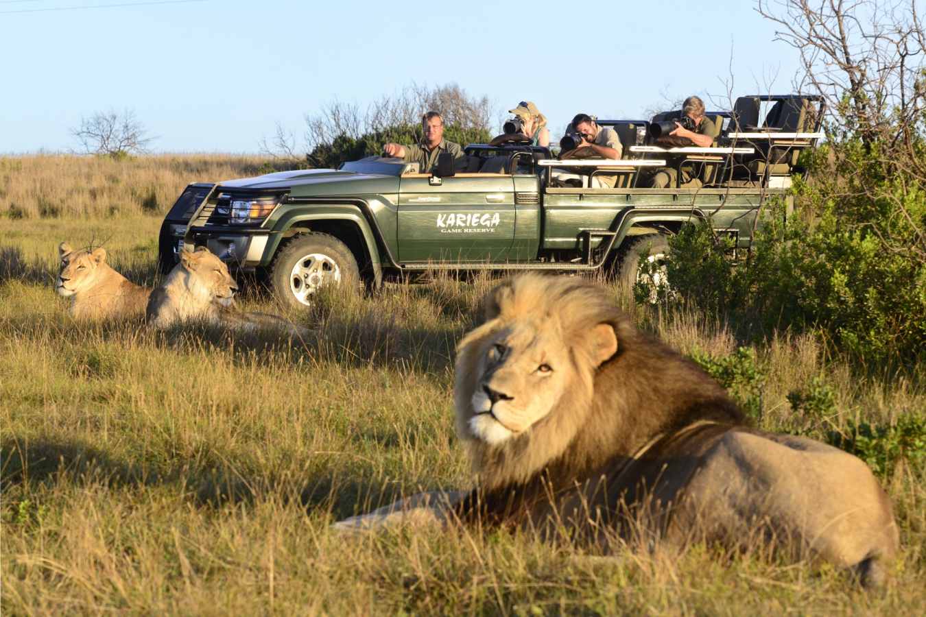 Kariega Game Drive - Kariega River Lodge