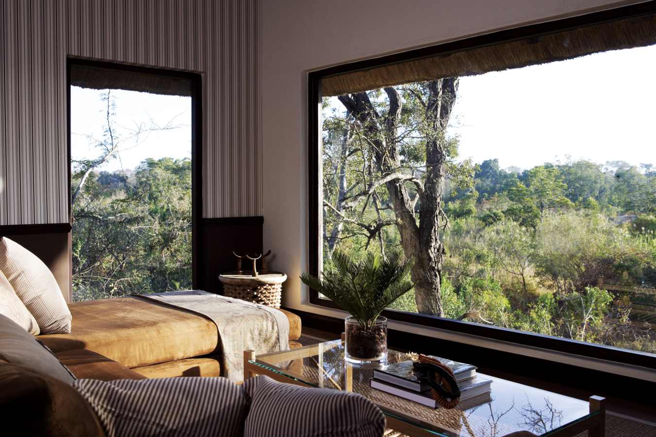 Pioneer Camp Suite - Londolozi Private Game Reserve