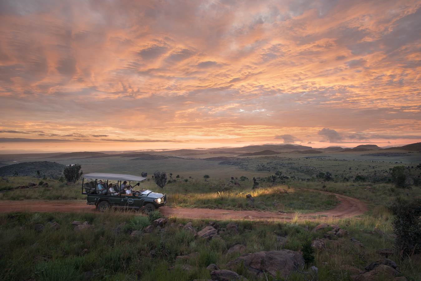 Game drive - Mhondoro Game Lodge