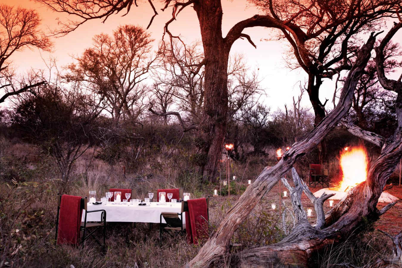 Al fresco dining - Molori Safari Lodge