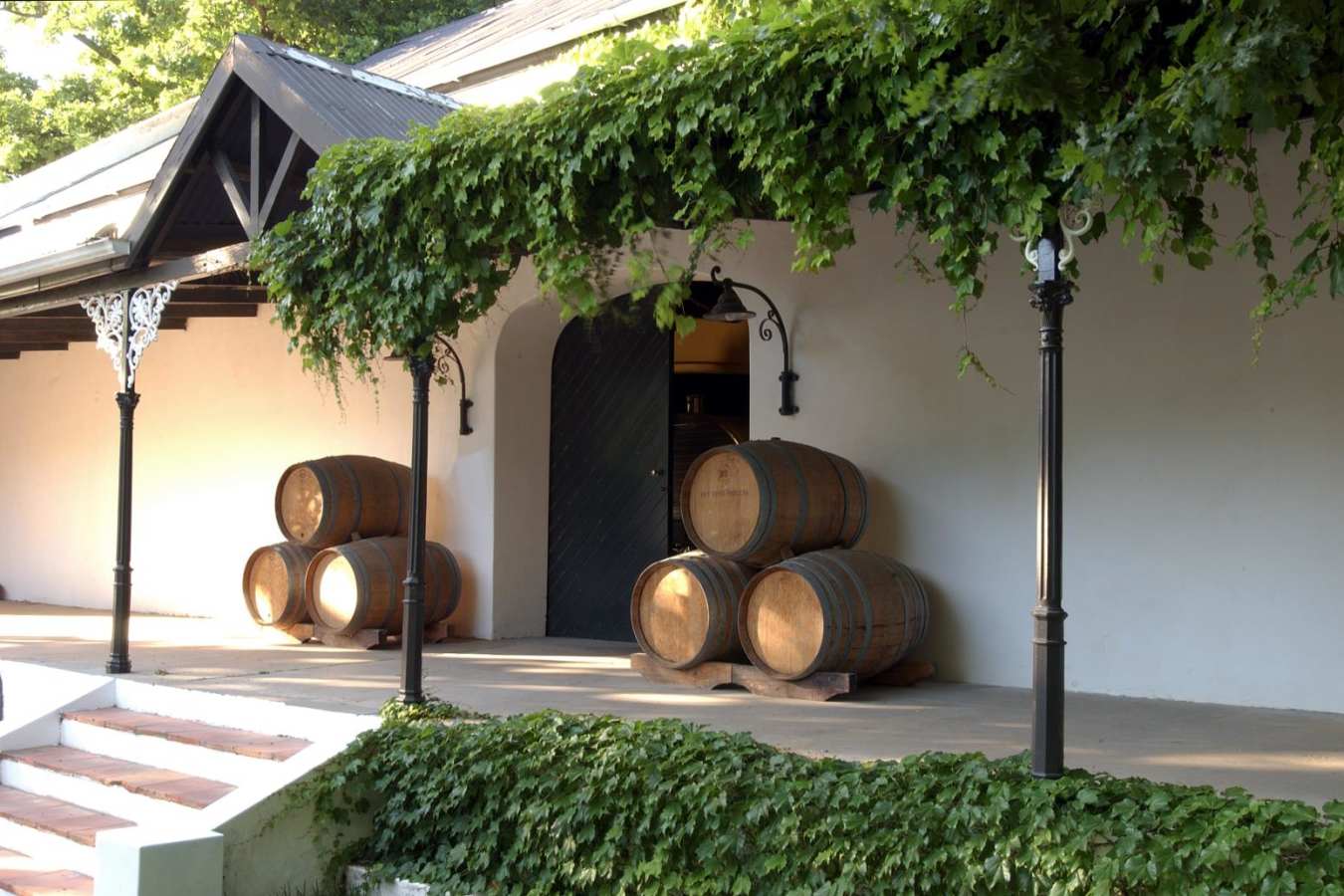 Cellar - Mont Rochelle