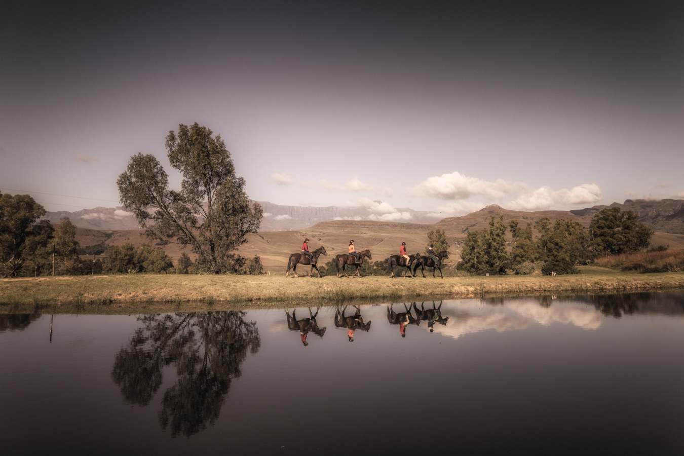 Horse riding - Montusi Mountain Lodge