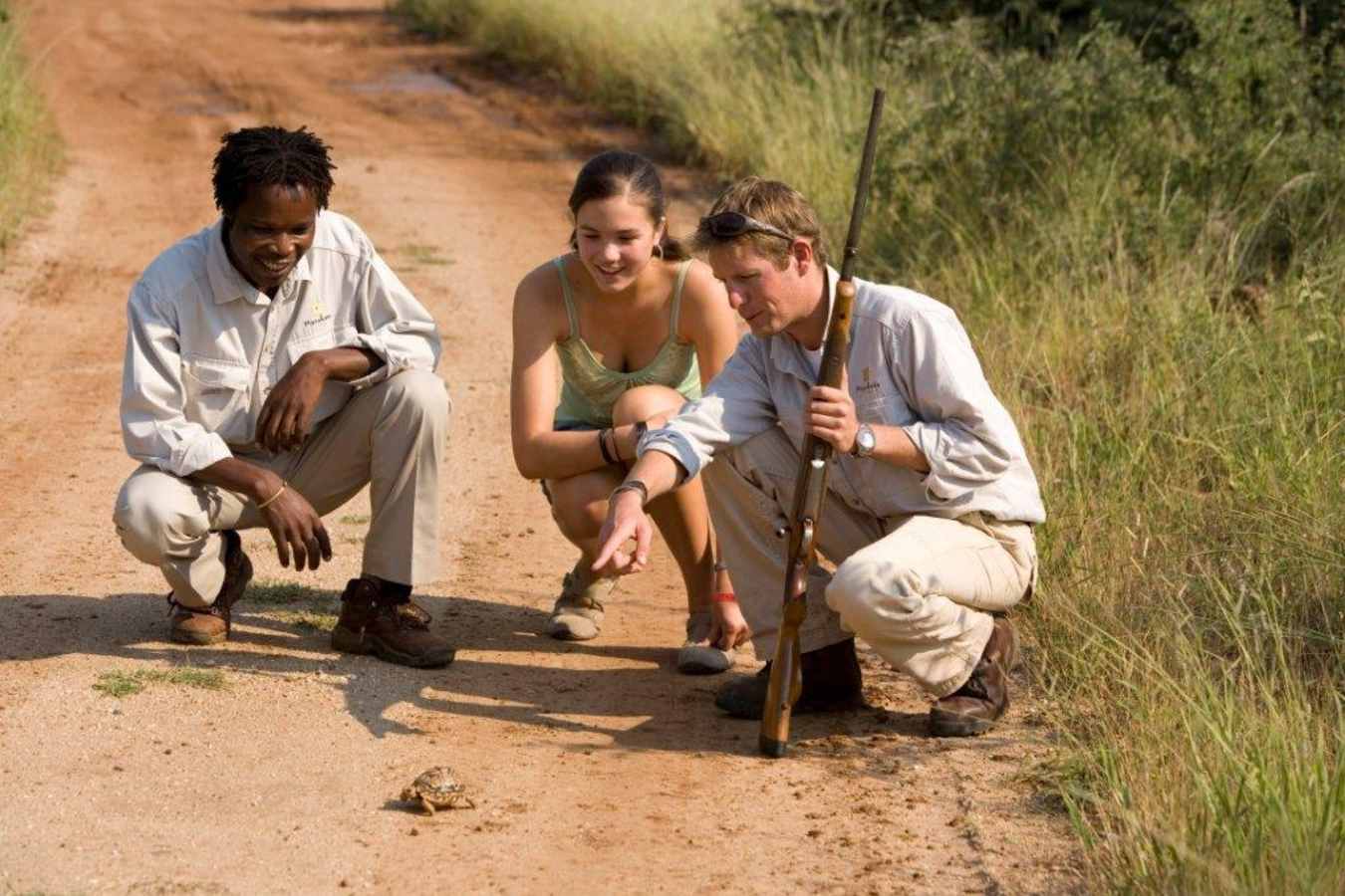 Tortoise spotting - Morukuru Farm House