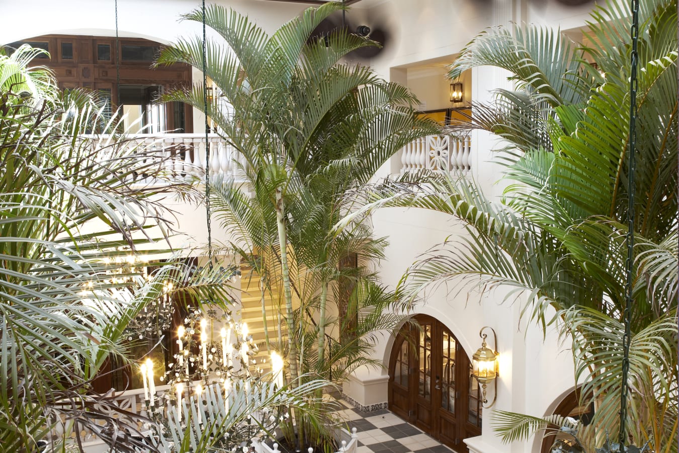 Palm court