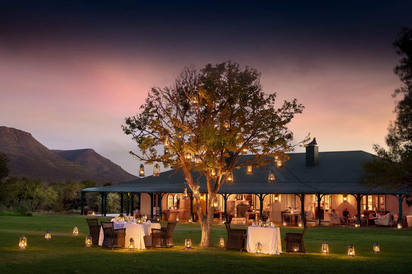 Lawn dinner 