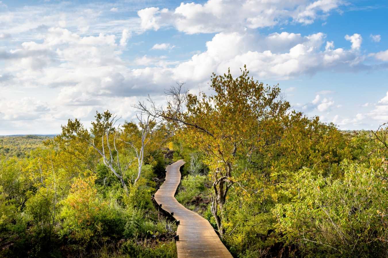 Walkway - Singita Lebombo Lodge
