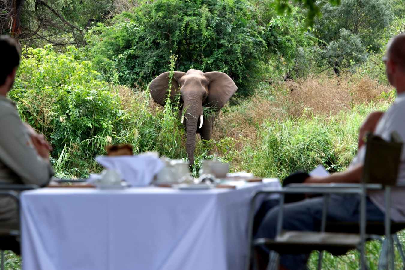 Lunch views - Singita Lebombo Lodge