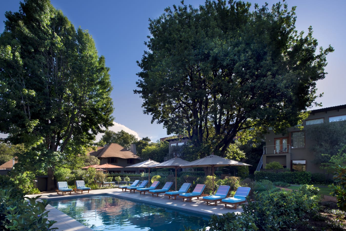 The Peech Pool
