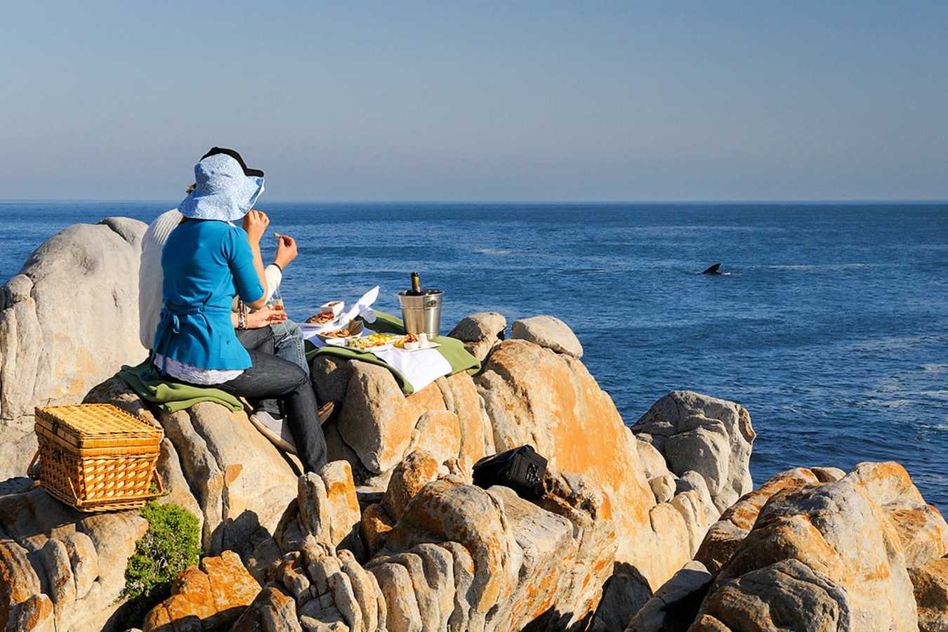 Whale Watching at Grootbos