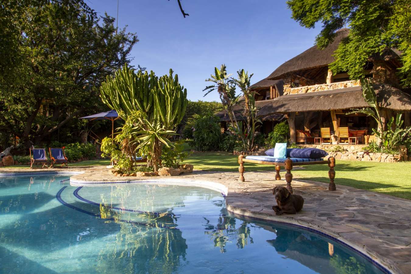 Pool at Ants Nest